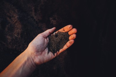 soil in a hand