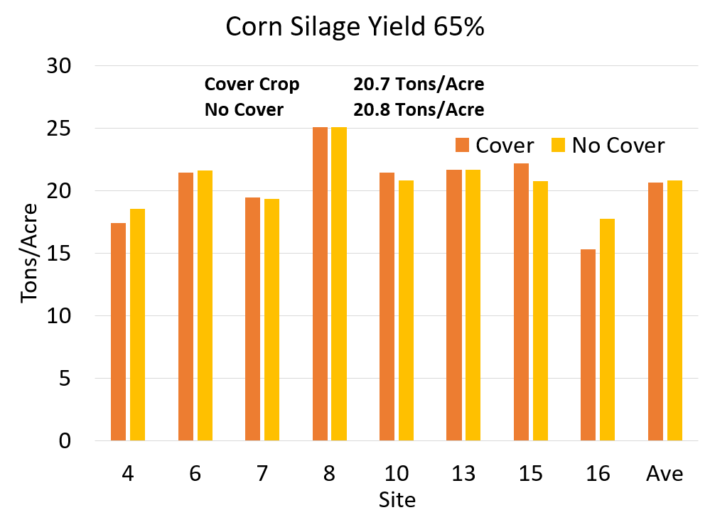 chart of corn silage yield with and without cover crops.