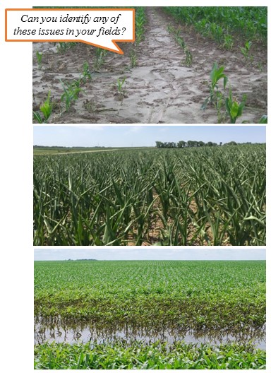 Soil physical properties contributing to sheet erosion (a), crop stress (b), and ponding (c) can benefit from animal manures.