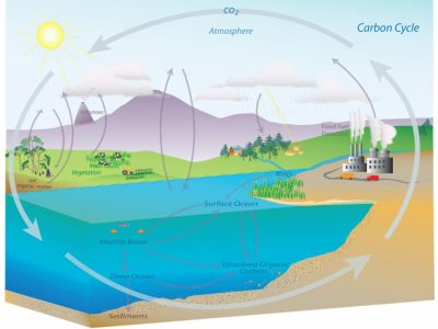 Soil Biological Properties - Soil Health Nexus