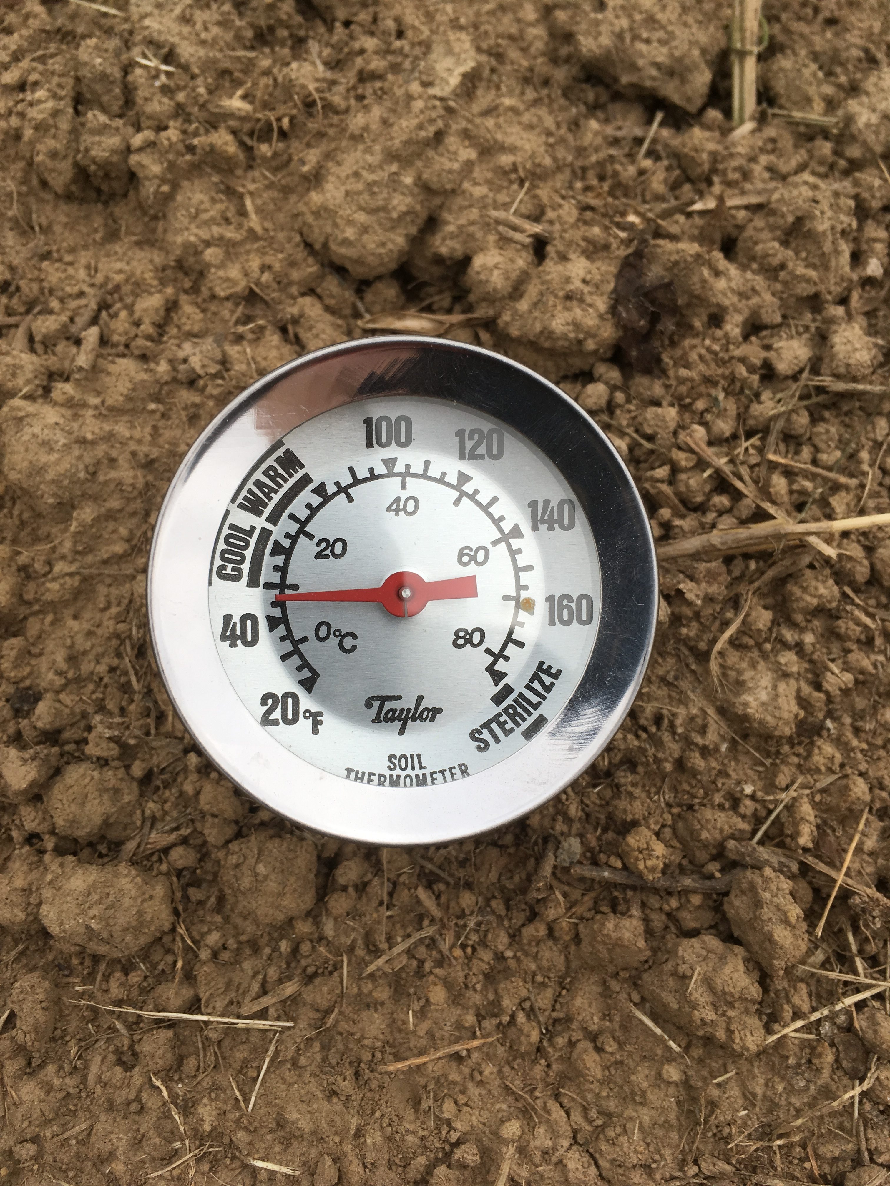 photo of a thermometer in bare soil