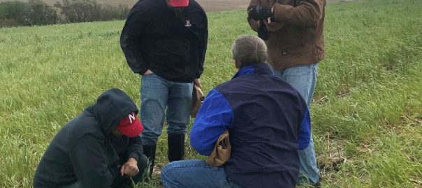 Farmers in a field looking at soil health results