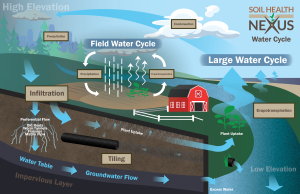 Graphic of the Water Cycle