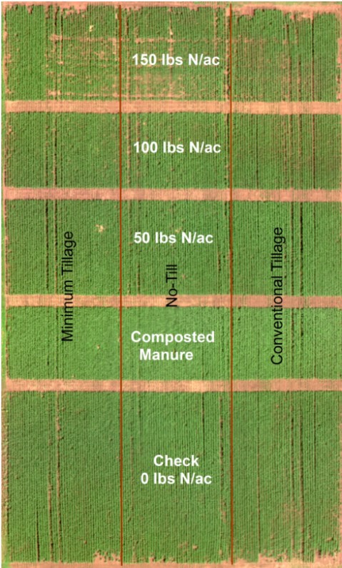 fertilizer treatments