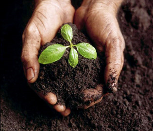 Manure and Soil Health Presentations Bring Experts, Give Voice to Wondering Minds