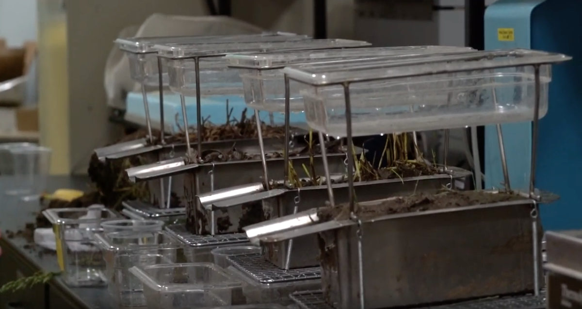 New Soil Health Videos