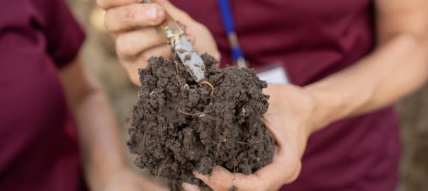 5 tips for soil health test sampling