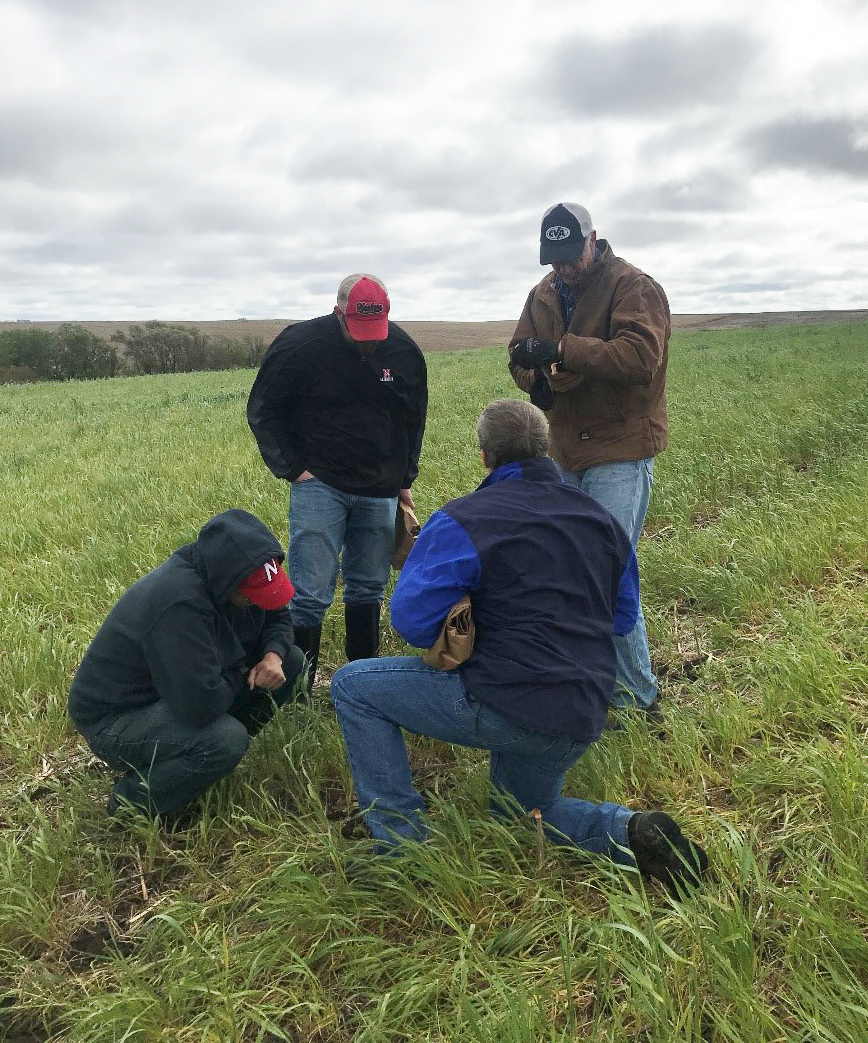 Farmers in a field looking at soil health results